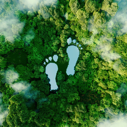 grüner Fußabdruck: Nachhaltigkeit bei Halfar