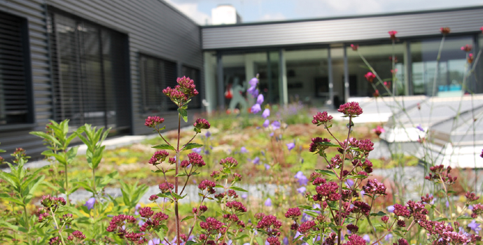 ENGAGIERT, ZERTIFIZIERT, AUSGEZEICHNET