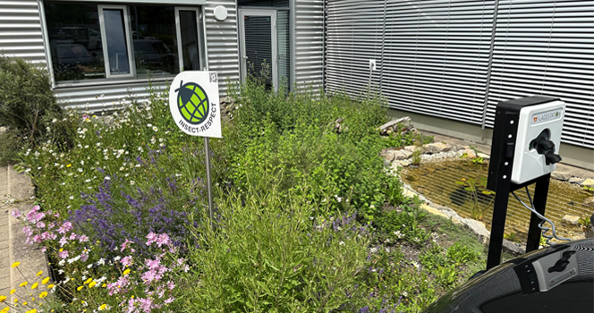 Insektenfreundliche Fläche mit Blumen und Insektenhotel am Halfar Firmengelände