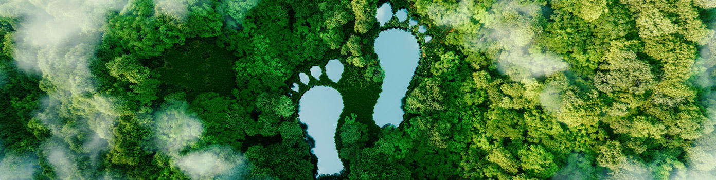 Halfar Nachhaltigkeit Footprint