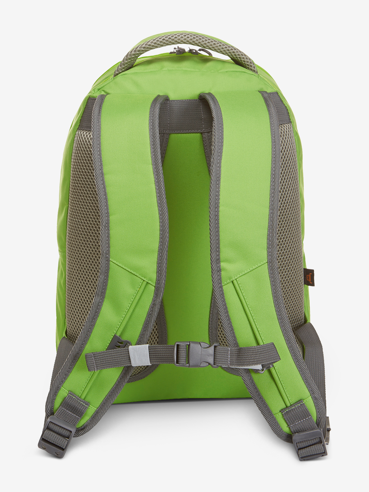 notebook backpack CAMPUS back
