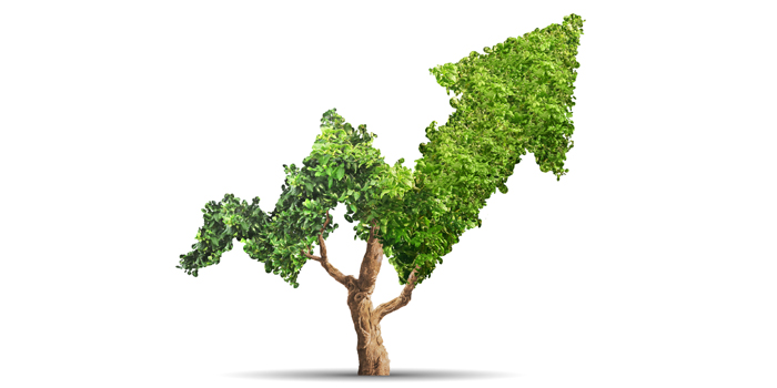 Baum dessen Zweige und Blätter eine steigende Trendkurve zeigen