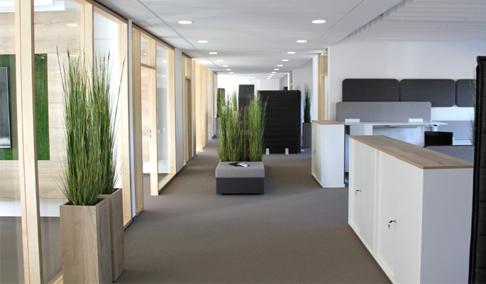 Modernes Büro mit offenem Raumkonzept als New Work Area im Halfar Firmengebäude