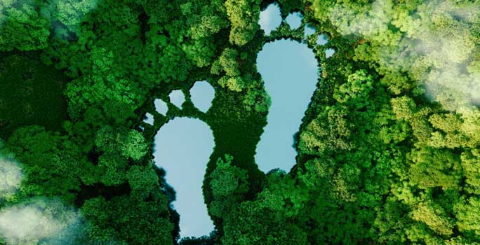 grüner Fußabdruck: Nachhaltigkeit bei Halfar