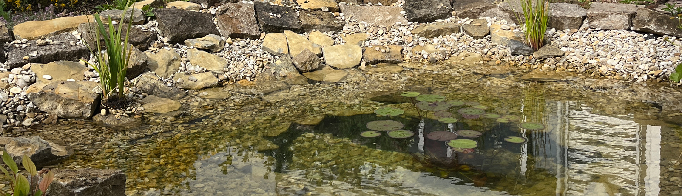 Biodiverser Teich neben dem Eingang des Halfar Firmengebäudes in Bielefeld