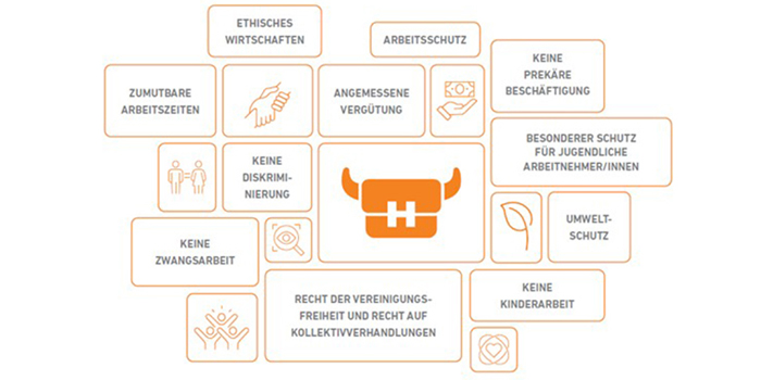 Infografik zu den Menschenrechten und dem Arbeitsschutz bei Halfar