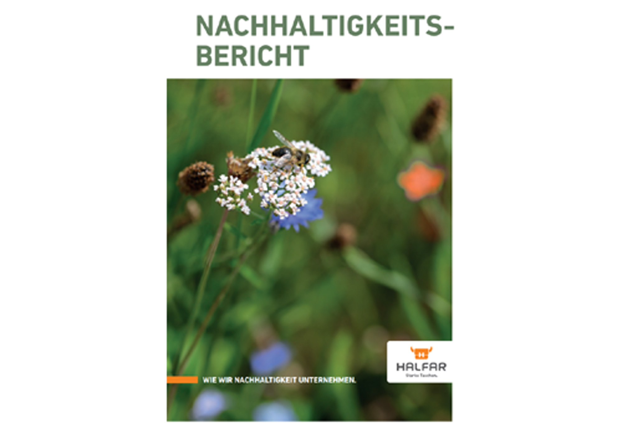 Titelseite des Halfar Nachhaltigkeitsreports 2022/2023