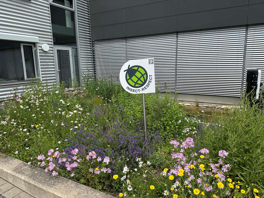 Insect Respect Zertifizierte Grünfläche vor dem Firmengebäude der Halfar System GmbH