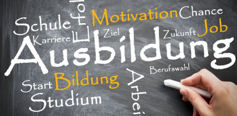 Vielseitige Ausbildungsberufe bei Halfar mit Zukunftsperspektive