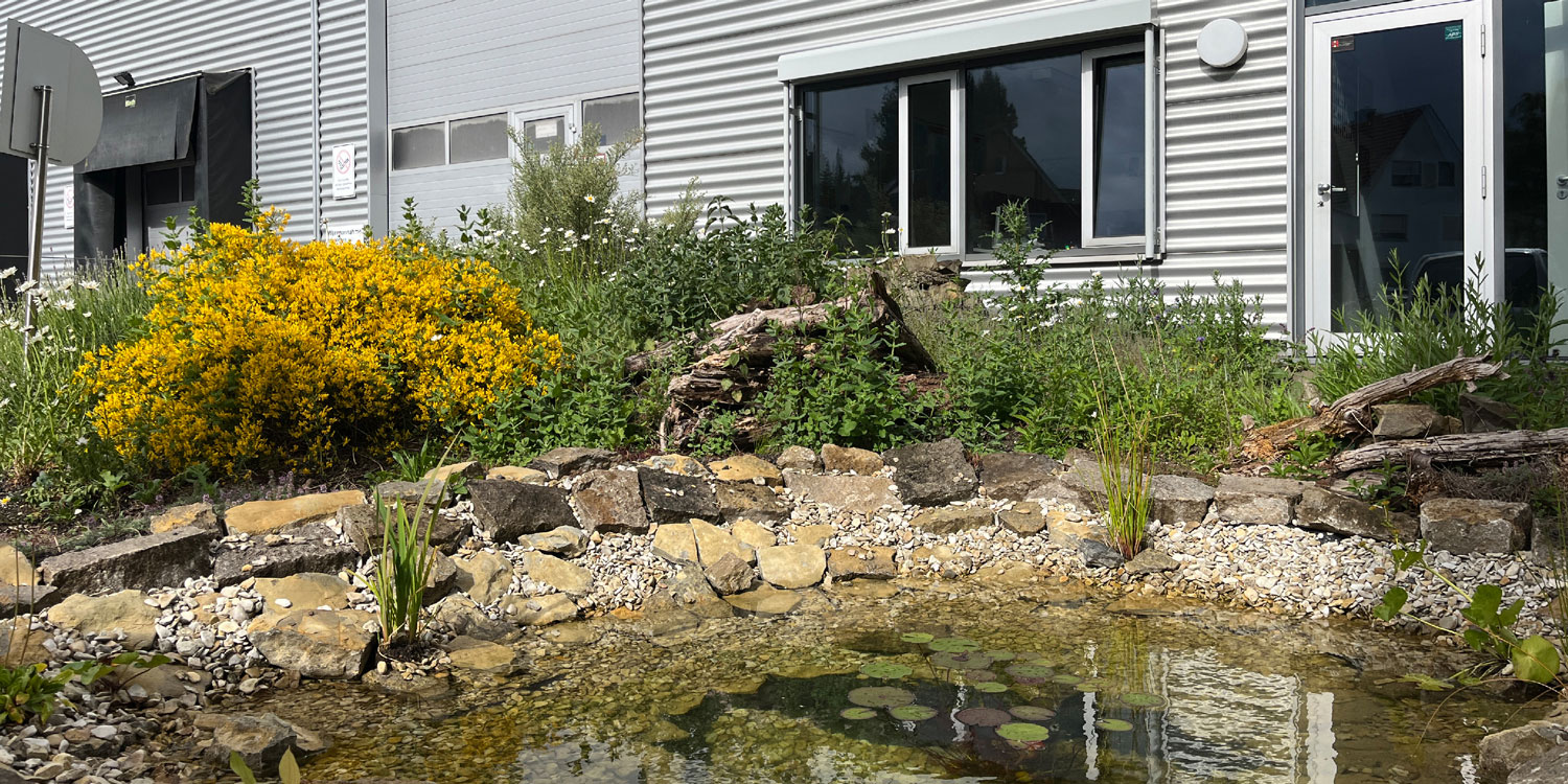 Biodiverse Grünfläche mit Teich vor dem Halfar Firmengebäude