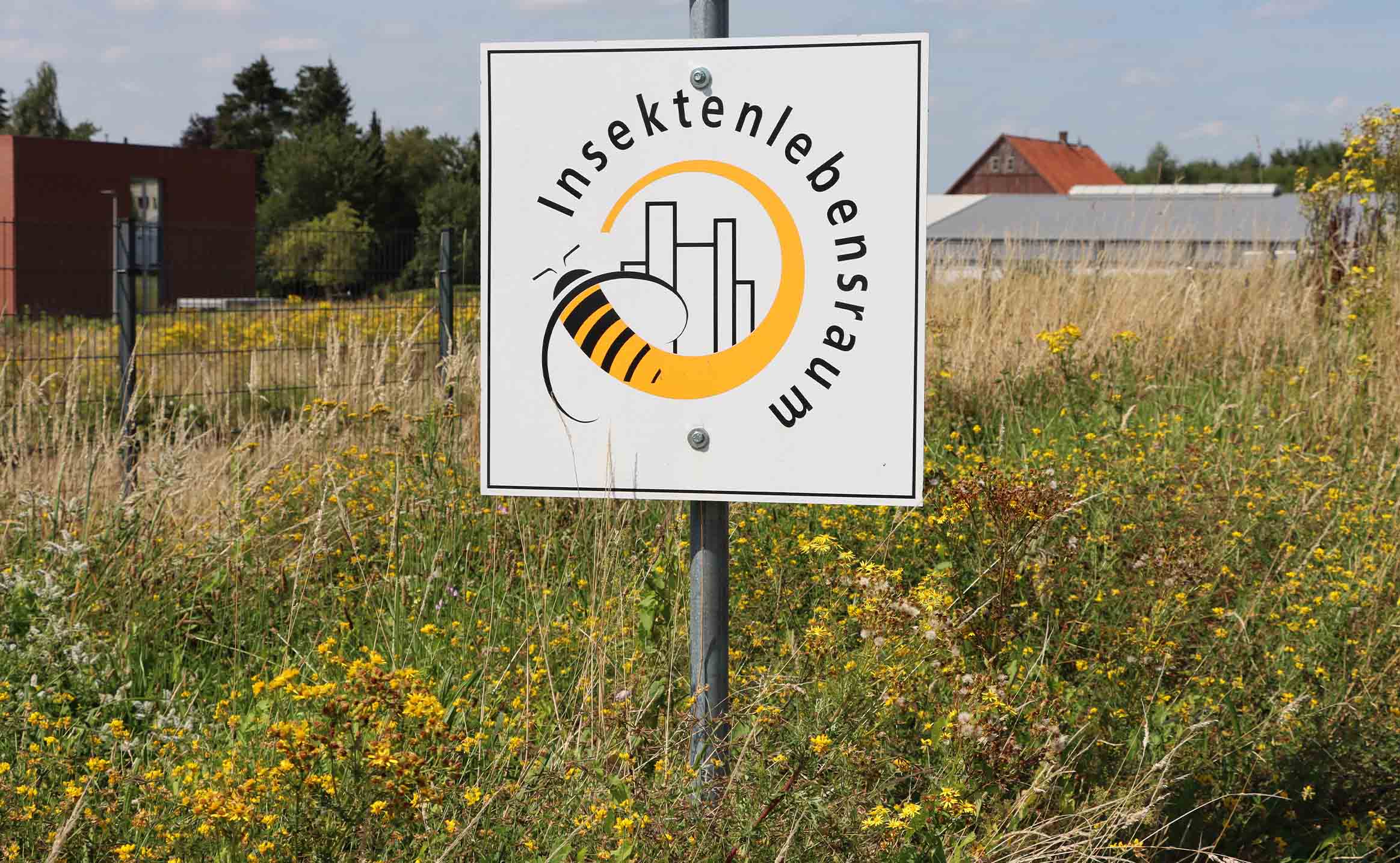 Schild für Insektenlebensraum auf naturnaher Fläche zur Förderung von Biodiversität
